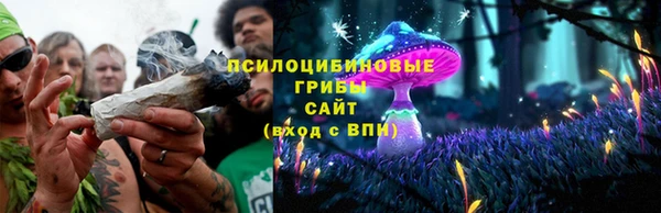 соль курить ск Алзамай
