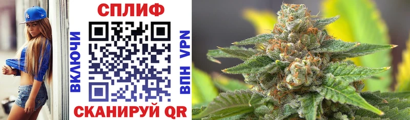 Бошки марихуана White Widow  hydra зеркало  Балашов  цена наркотик 